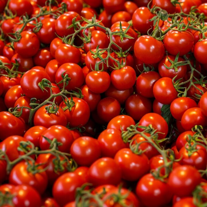 Oblíbená drcená rajčata mají bohaté využití a koupíte je i v gastro balení